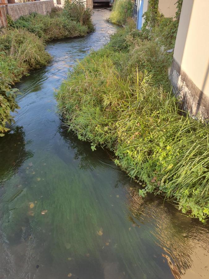 Ferienwohnung Les Berges Du Moulin Ensisheim Exterior foto